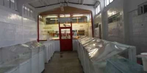 Satu Mare: Revista Presei