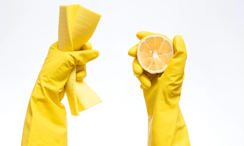 shutterstock 1752454682 jpg