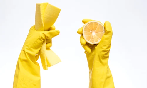 shutterstock 1752454682 jpg