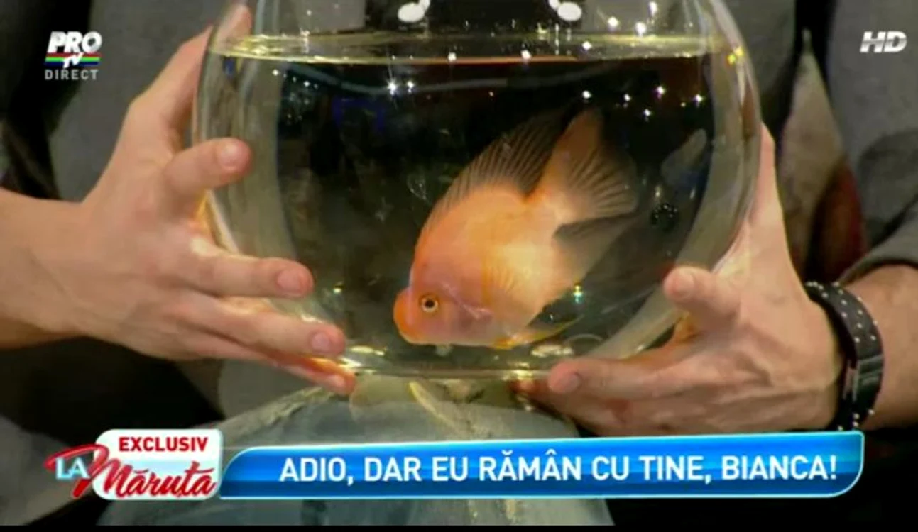 Cadoul lui Victor Slav de la Cătălin Măruţă