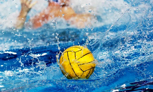 polo dinamo jpg