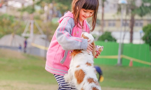 1 57240 original jpg jpeg