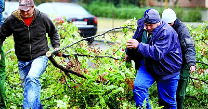 Timisoara: REGIUNEA PE SCURT / Vijelia a făcut ravagii