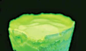 Cel mai mare succes  este îngheţata cu  gust de vanilie jpeg