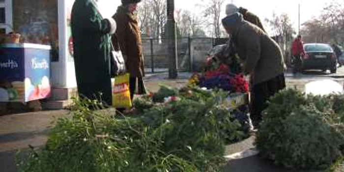 Vâscul norocos se găseşte peste tot în oraş