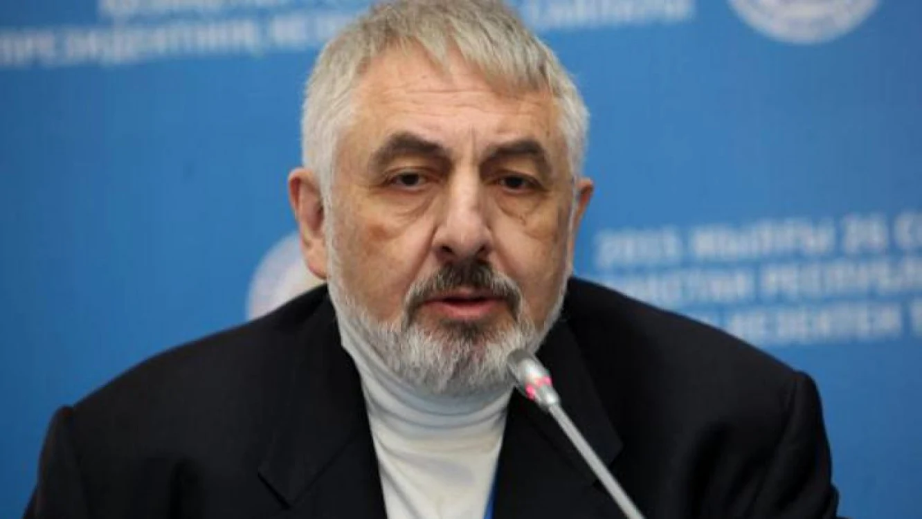 Vladimir Socor