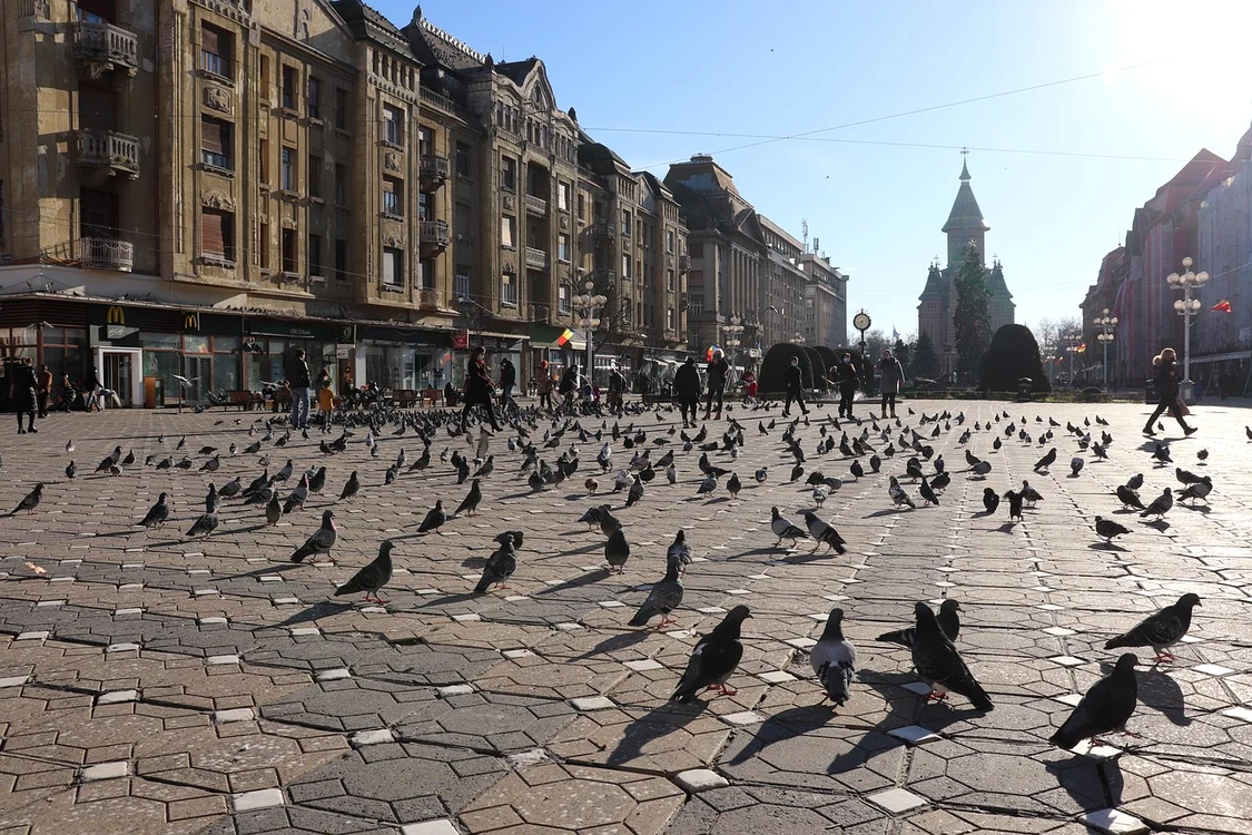 Piața Victoriei din Timișoara / foto: Pixabay