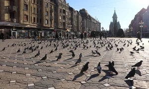 victory square 6996383 1280 jpg