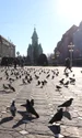 victory square 6996383 1280 jpg