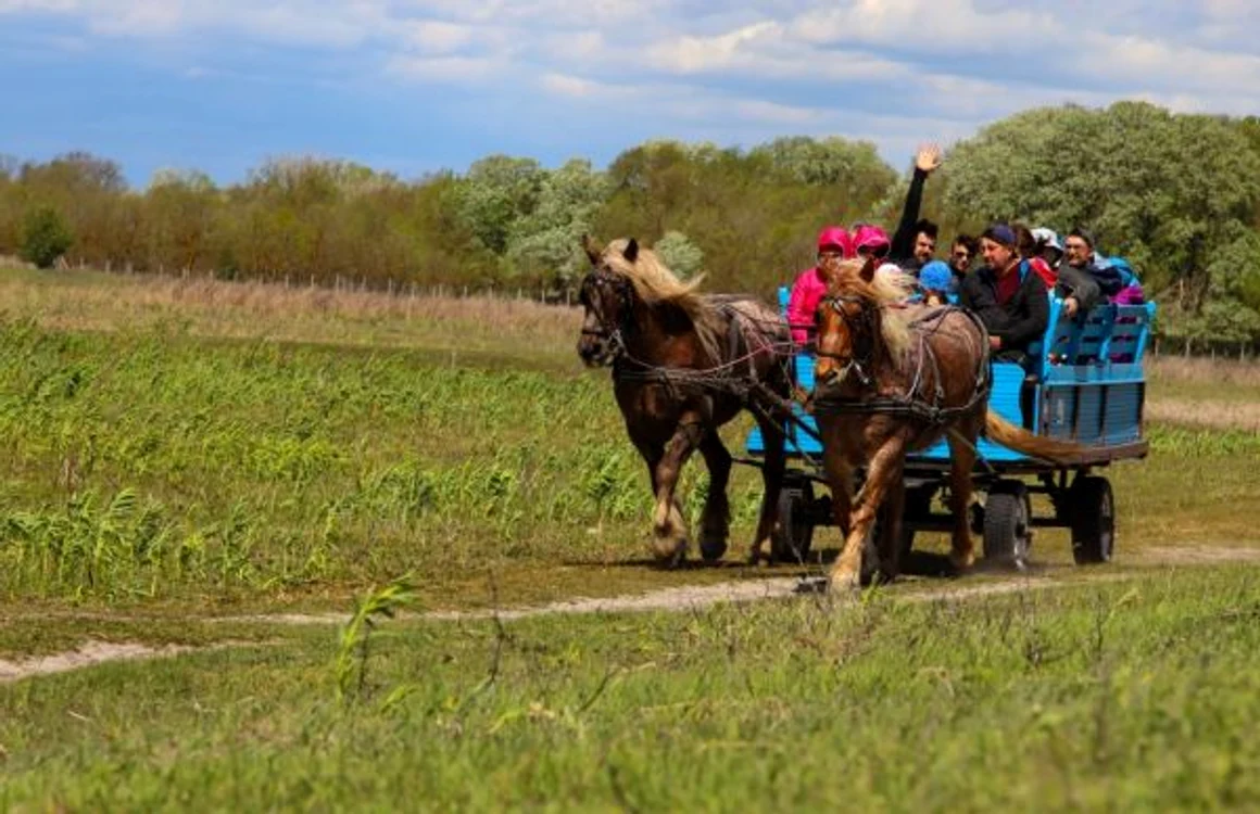 Proiect cu bani UE în satul Letea FOTO Elena Baccela