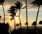 Raluca Lazarut Horatiu Boeriu vacanta Hawaii (17) jpeg