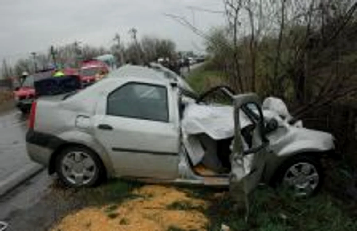 Cei doi pasageri din Dacia Logan au decedat în accident.