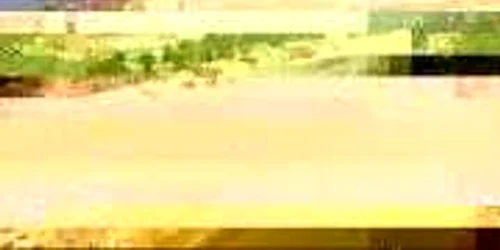 Hotelurile de cinci stele au intrat în programul “Litoralul pentru toţi”