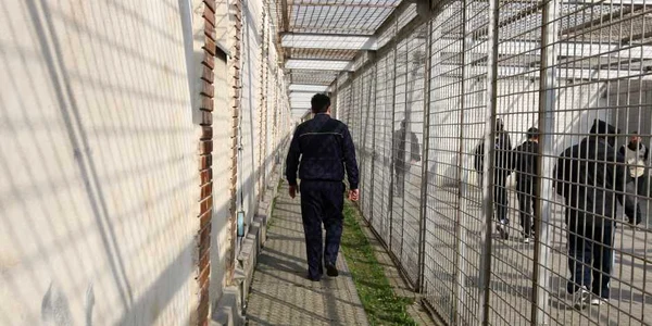 Foto Arhivă