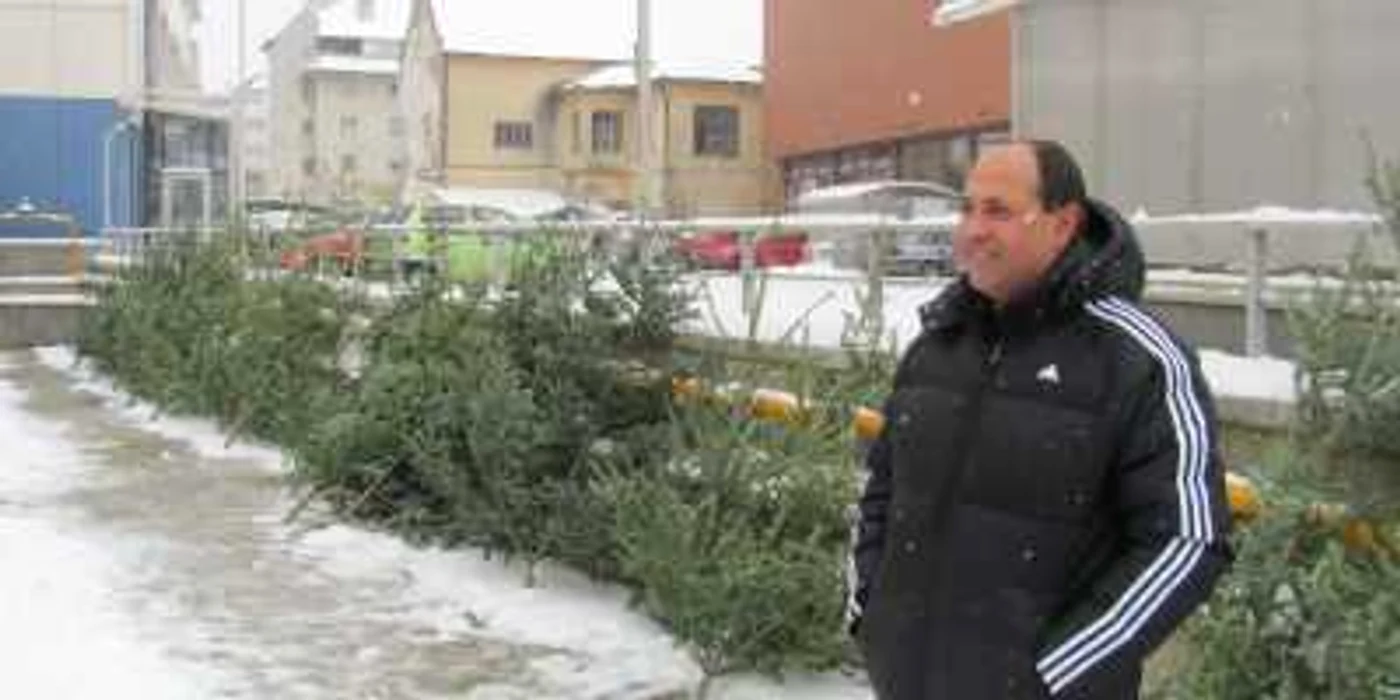 Zălăuanii sunt aşteptaţi să-şi cumpere pomi de Crăciun