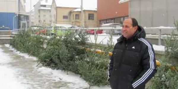 Zălăuanii sunt aşteptaţi să-şi cumpere pomi de Crăciun