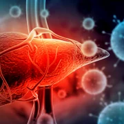 Hepatita - ficat FOTO Shutterstock