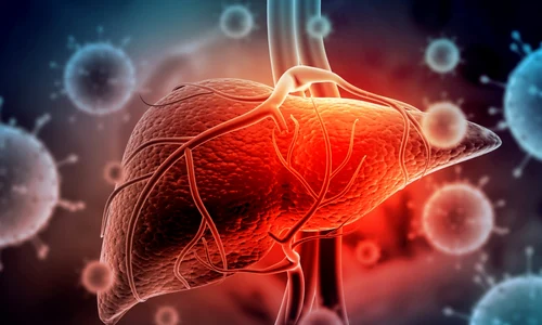 Hepatita - ficat FOTO Shutterstock