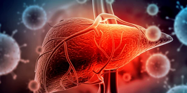 Hepatita - ficat FOTO Shutterstock