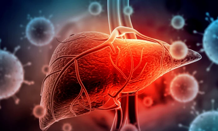 Hepatita - ficat FOTO Shutterstock
