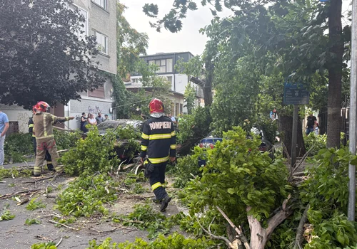 Furtuna Foto IGSU jpg