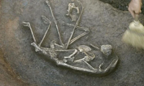 Mormânt din Epoca Bronzului descoperit în curtea unei case jpeg