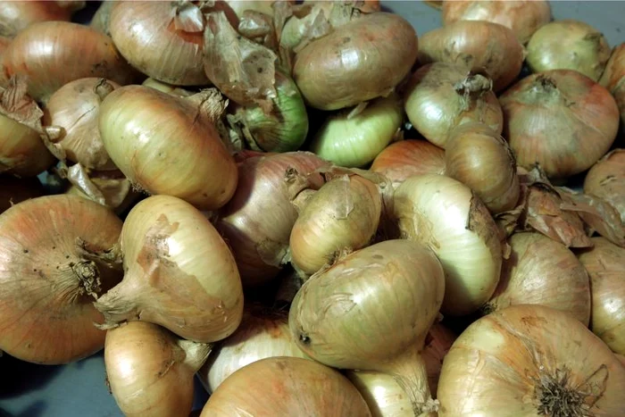 
    Consumul de ceapă poate salva prostata. (Arhiva Click!)  