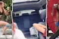 cub ramona craciunescu animat gif