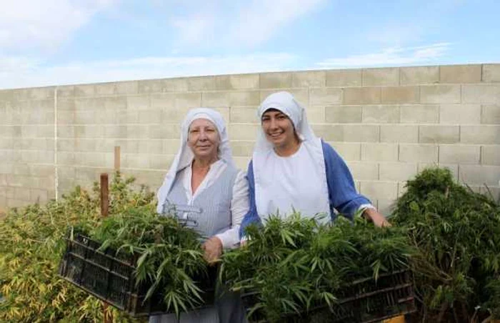 Ordinul Sisters of the Valle cultivă canabis într-o fermă dintr-un orăşel din statul California.