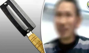 24 peglob 1asdfasdf jpeg