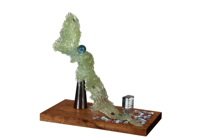 
    Alexandru & Mihnea Ghildus  