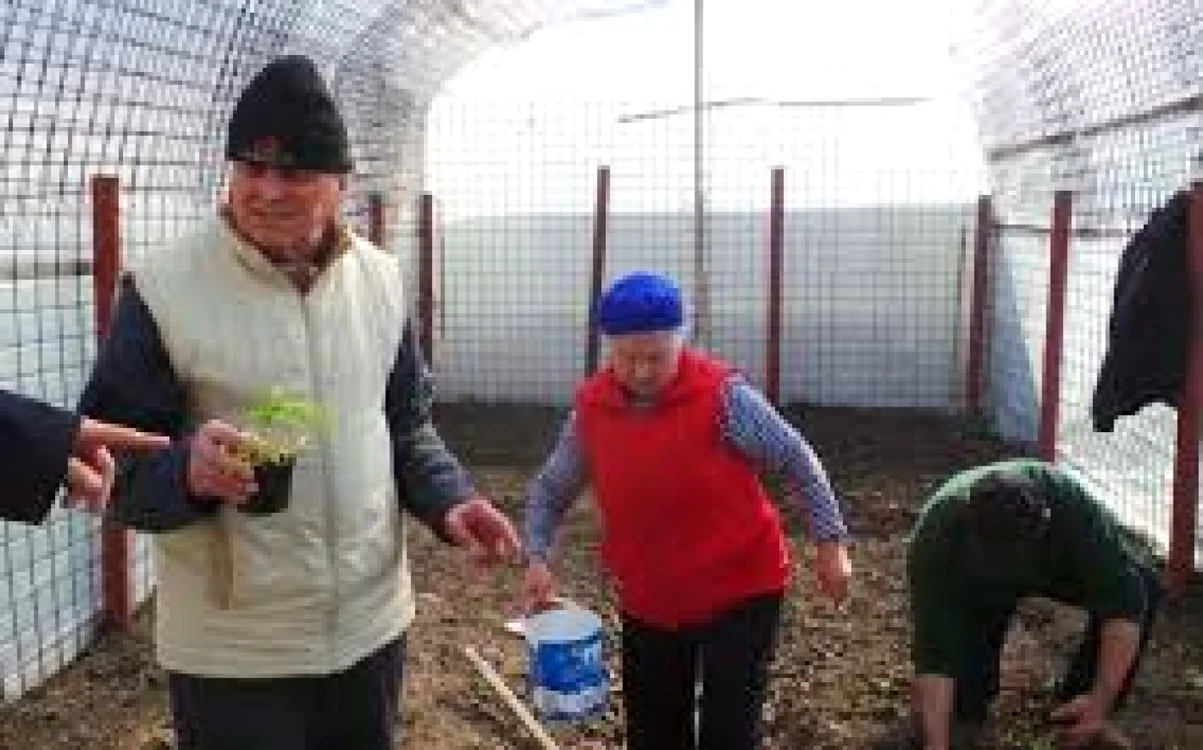 Bătrânii de la Căminul de vârstnici au început munca în solar