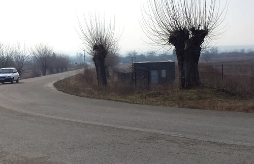 lucrări de mântuială la balta verde FOTO Corina Macavei 