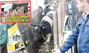 CLIIMA20120118 0098 1 jpeg