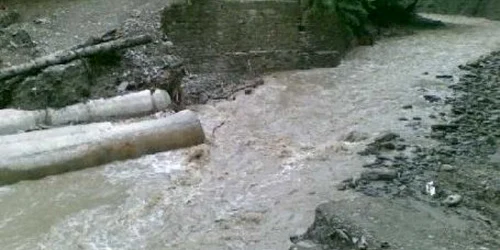 Bătrânul a fost găsit mort