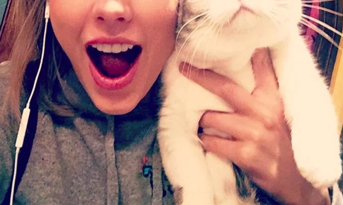 taylor swift jpeg