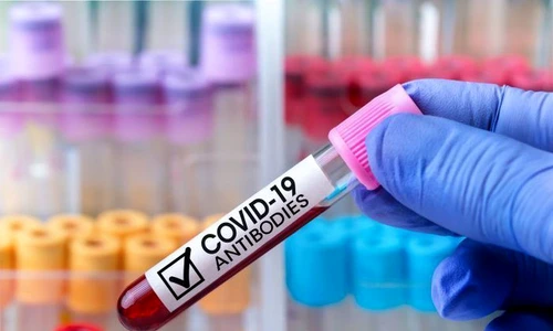 1 shutterstock 1742536169 jpg jpeg