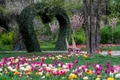 Gradina Botanica Craiova   Facebook jpg