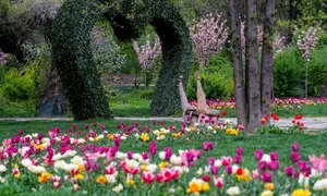Gradina Botanica Craiova   Facebook jpg