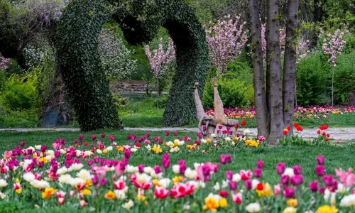Gradina Botanica Craiova   Facebook jpg