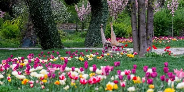 Gradina Botanica Craiova   Facebook jpg