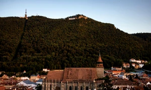 pexels andreea juganaru 3852552 5718472 jpg