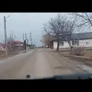 drum racaciuni gif gif