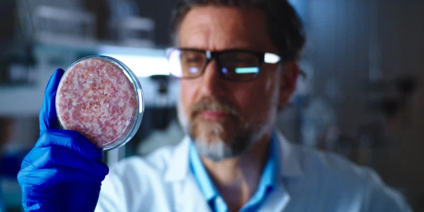 Carne crescută în laborator FOTO Shutterstock 