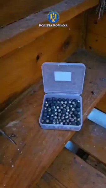 Individ pus sub control judiciar pentru maltratarea unei pisici. Ustensilele găsite de polițiști pe care le folosea pentru chinuirea animalelor