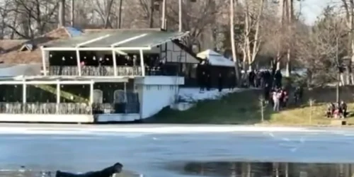 salvare fetita parcul romanescu jpeg