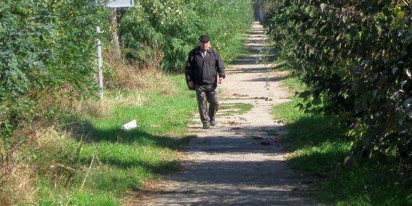 Jungla de pe centura Târgoviştei