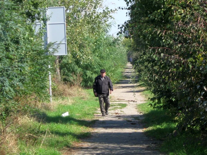 Jungla de pe centura Târgoviştei