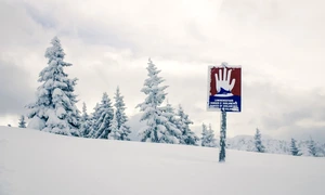 Pericol de avalanșă Sursa Pixabay com jpg