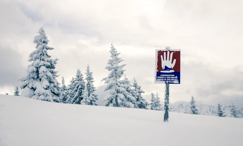 Pericol de avalanșă Sursa Pixabay com jpg